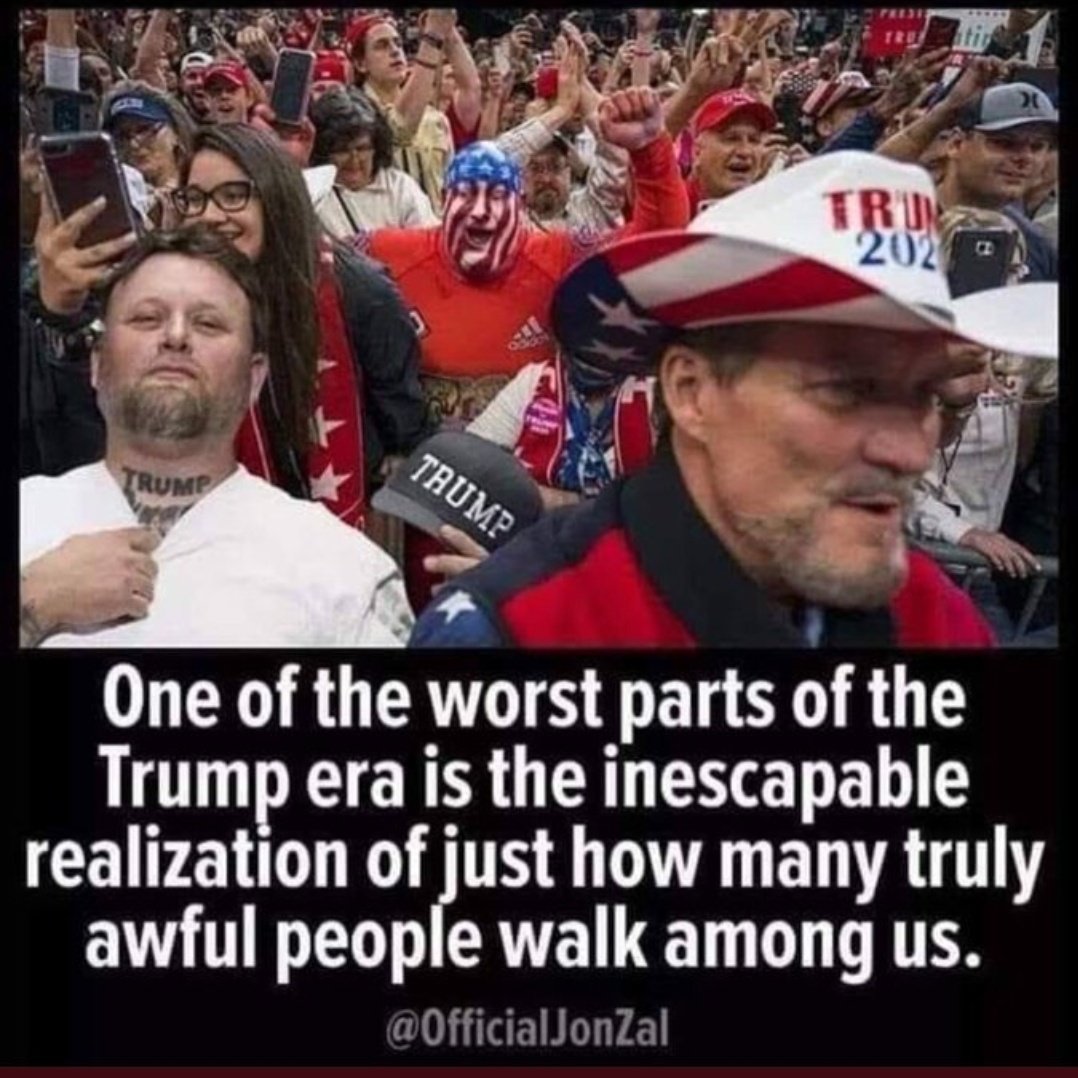 CharisHamilton8's tweet photo. @RonFilipkowski The damage that one man has done to our country is uncalculable! https://t.co/eJI9QP5cG4