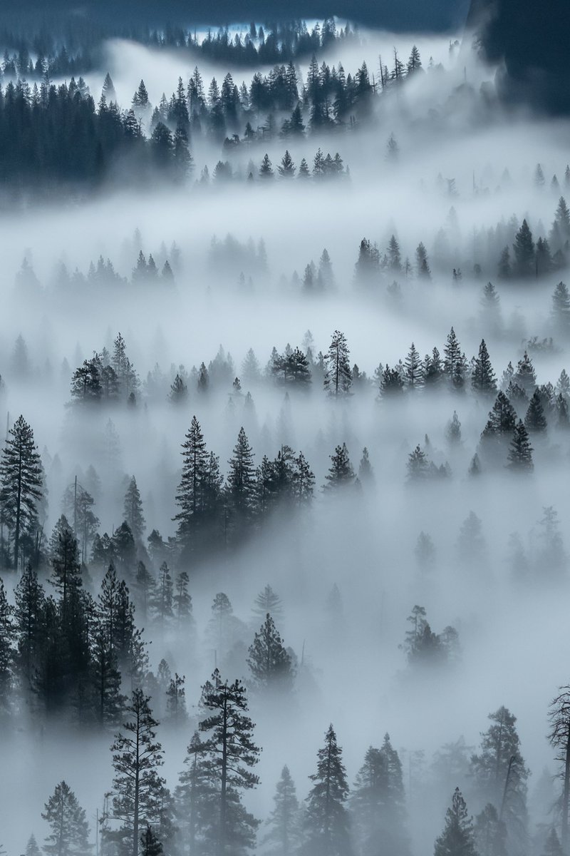 A picture I took in Yosemite