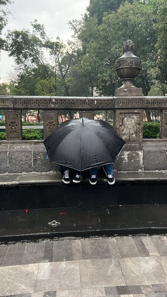 brendandunne tweet media