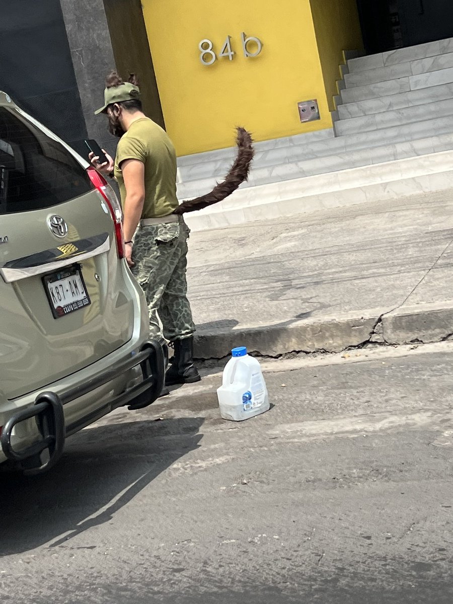 brendandunne tweet media