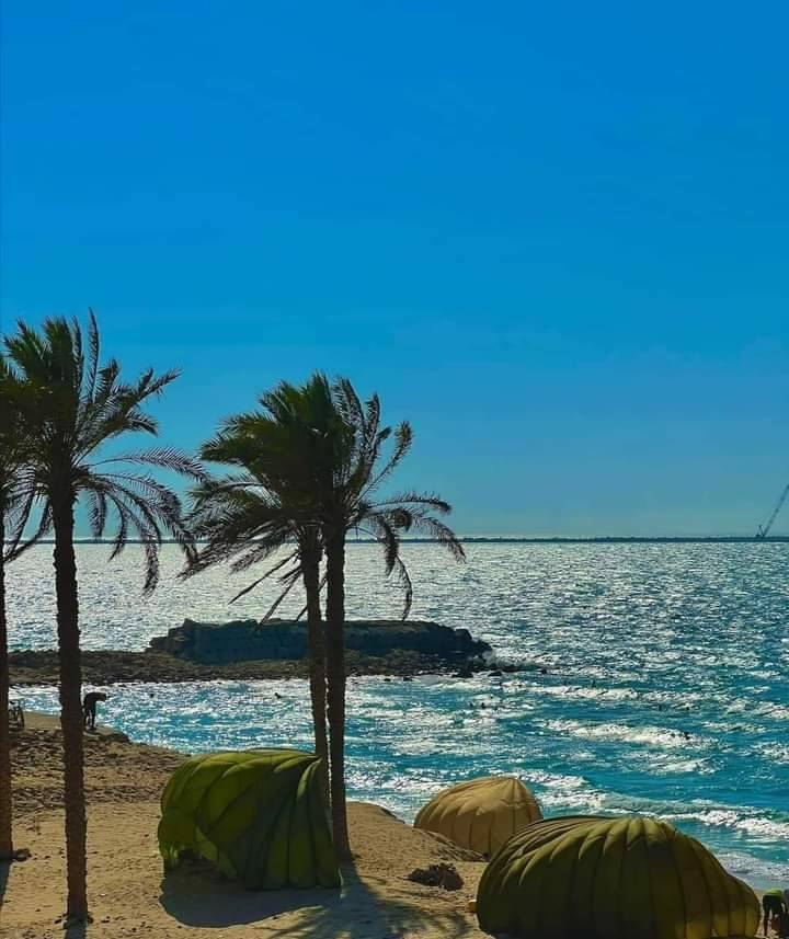 engazatmasr2020's tweet photo. شاطئ الريسة في العريش من أجمل شواطئ مصر في سينا الغالية علينا ❤️ 

صباحكم مصري 🇪🇬 https://t.co/ivD25lBkVb