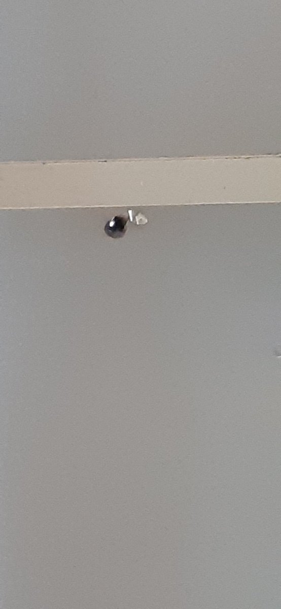 Ejap1973's tweet photo. Recorrido por las áreas más afectadas, aula que require cambio de láminas del techo, dañada por huecos de balas. Se inunda al llover. @rosabecerra3
@HectoRodriguez @MPPEDUCACION #BricomilesMiEscuelaBella #Bricomiles #MiEscuelaBella https://t.co/GfMkdWq6yG https://t.co/sQbsJkZDyv