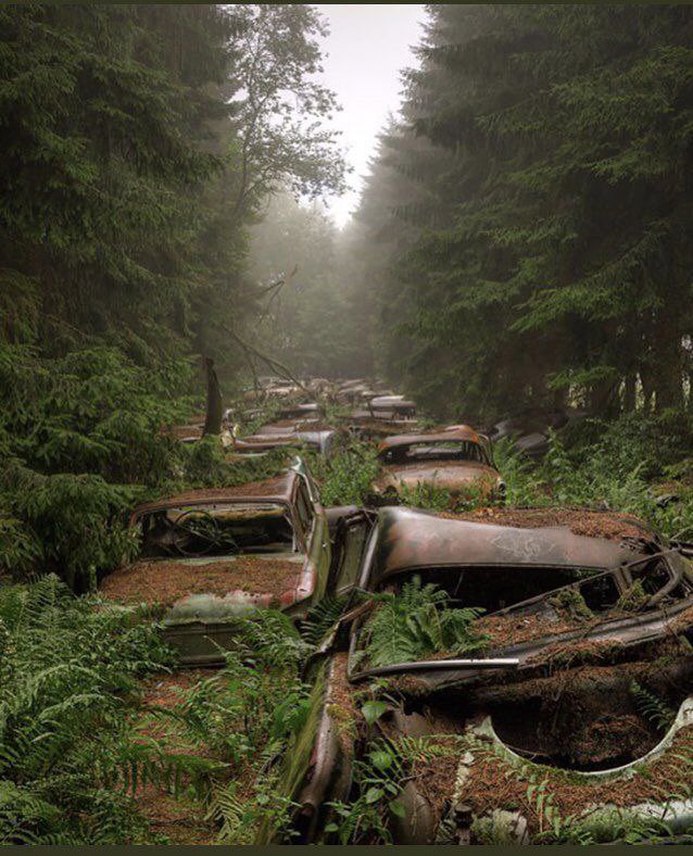 _FrejaAndersen_'s tweet photo. Abandoned traffic jam in Belgium forest. https://t.co/37pUKTj8FD