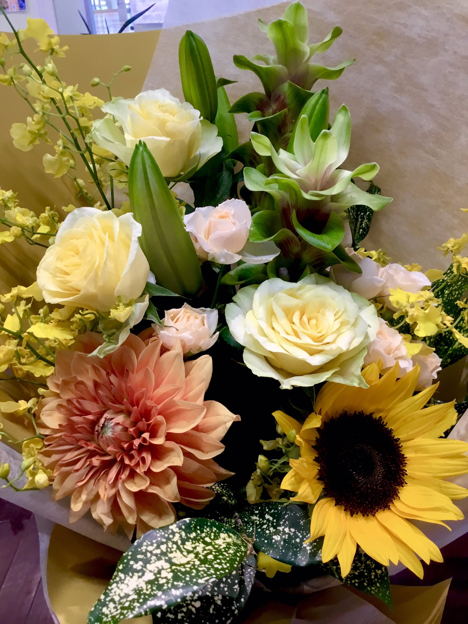 تويتر フラワーパーク花北店 على تويتر 送別用の花束です 黄色のお花を中心に華やかにお作りしました 花束 送別 ありがとう 黄色 華やか ヒマワリ バラ 姫路 花北 花屋 野里 野里駅 駅近 T Co Vg5cymlwke