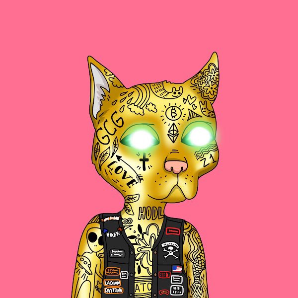 franalations23's tweet photo. $gang gang https://t.co/RwLp3izrE6