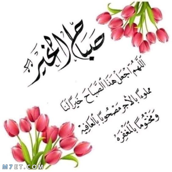 Zainab Abdelhamed (@zainababdelham4) on Twitter photo 