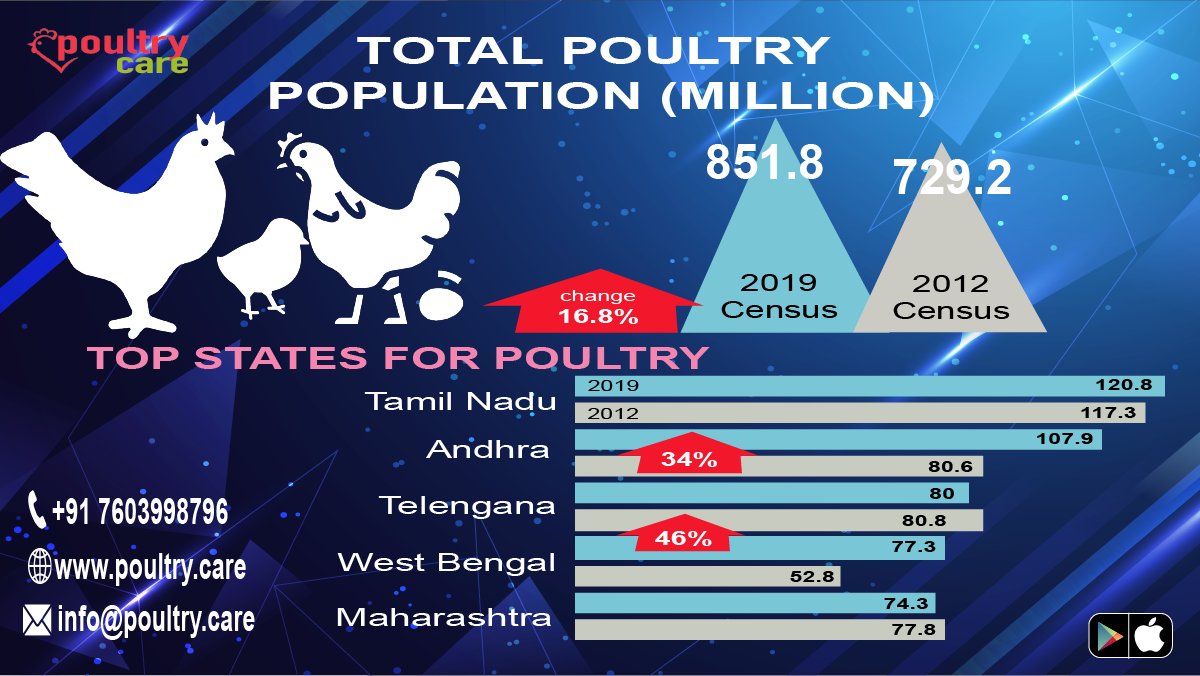 PoultryERP's tweet photo. Total poultry population(Million)
For more: https://t.co/Dih6zwiLgl
#statistics
#poultrystatistics
#poultry
#poultryfarm
#poultryfarming
#chicks
#5state
#poultryindia
#poultrycare https://t.co/tRUdhIqvI3