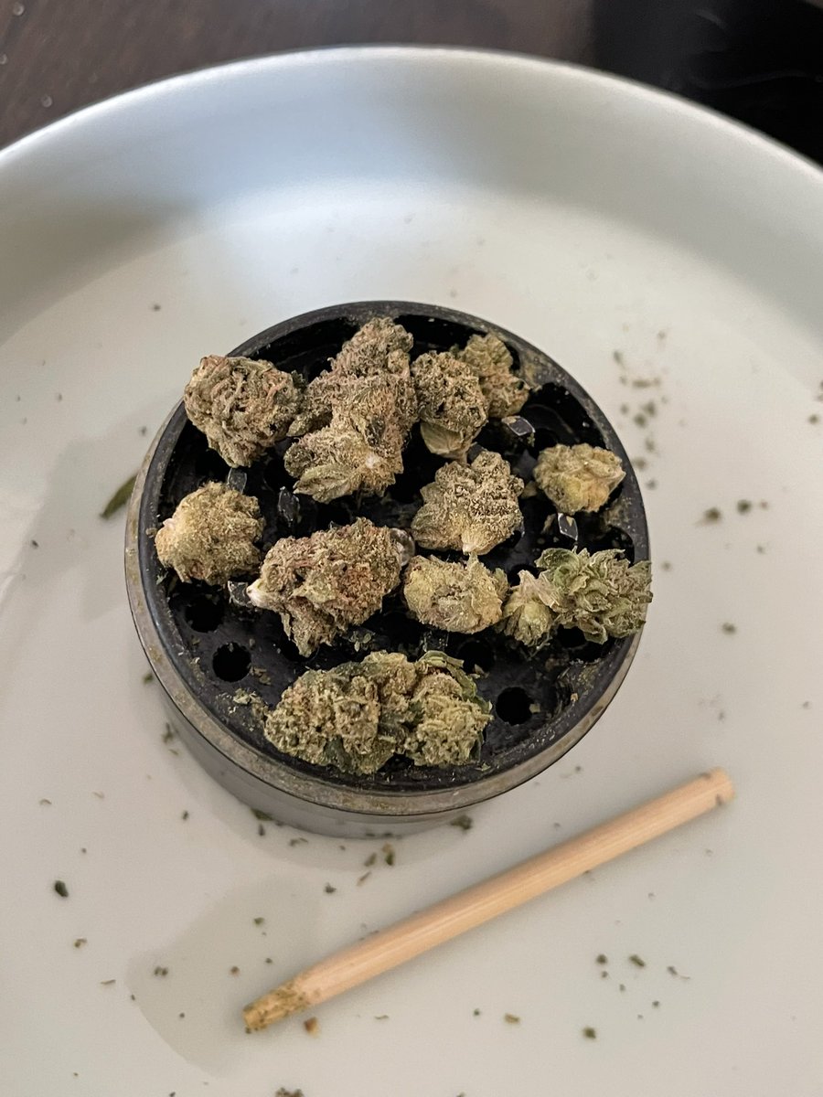 HazePodcast's tweet photo. End of my supply from the winter #ak47 

2-3 more weeks until my harvest is ready to try 😶‍🌫️

Cannot wait to 🌬 the #supersilverhaze 

#weedlife #CannabisCommunity #growyourown #Mmemberville #weedgasm https://t.co/iok4CduQHU