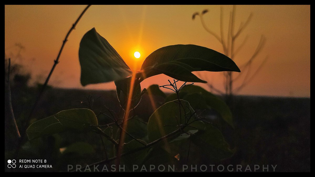 Prakash_Papon's tweet photo. ❤️সন্ধ্যা যেতিয়া নামে ❤️
#mobilephotography
#Timepassclick
#NaturePhotography
#sunsetphotography
@paponmusic ❤️ https://t.co/kWNQTalZeo
