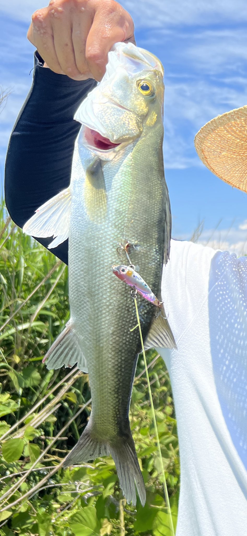 釣り紀行 Mzdao Fish Onahama Twitter