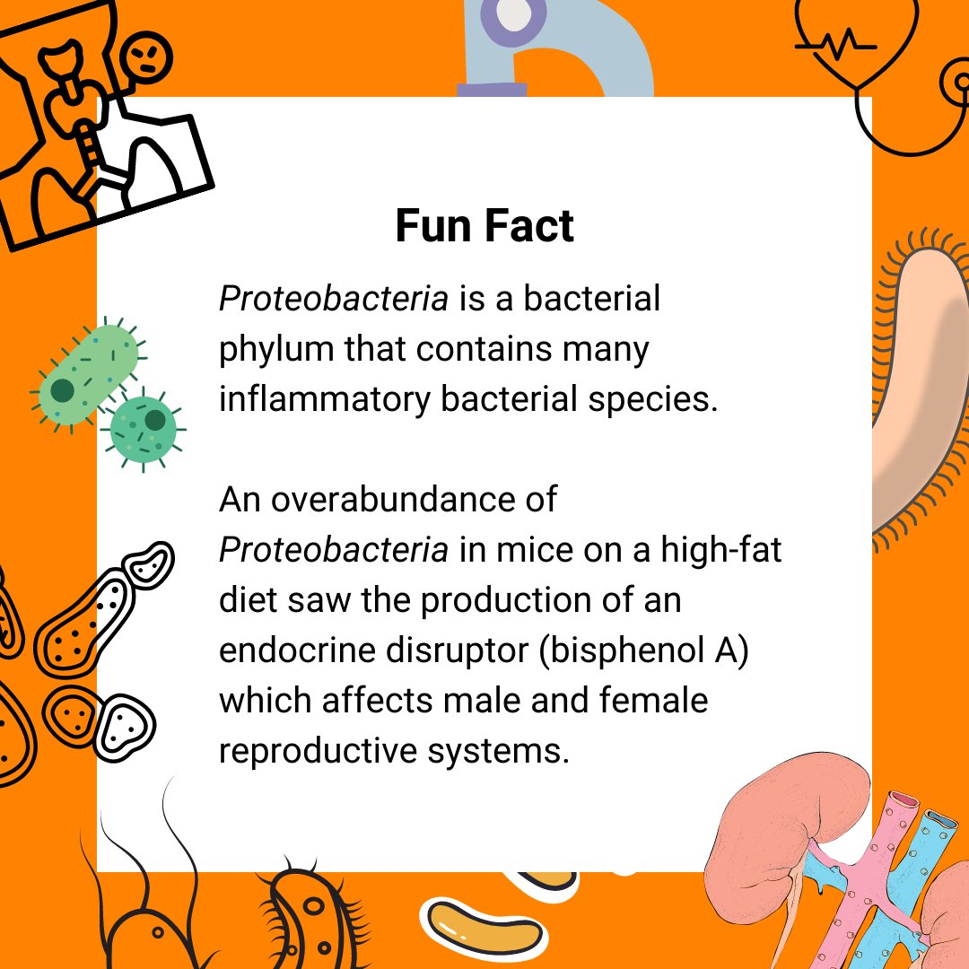 Did you know?

The Endocrine System can affect the human microbiome through stress hormones!

#WorldMicrobiomeDay #microbiomes4life #microbiome #research #bacteria #microbes