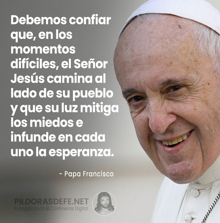 Pildorasdefe tweet media