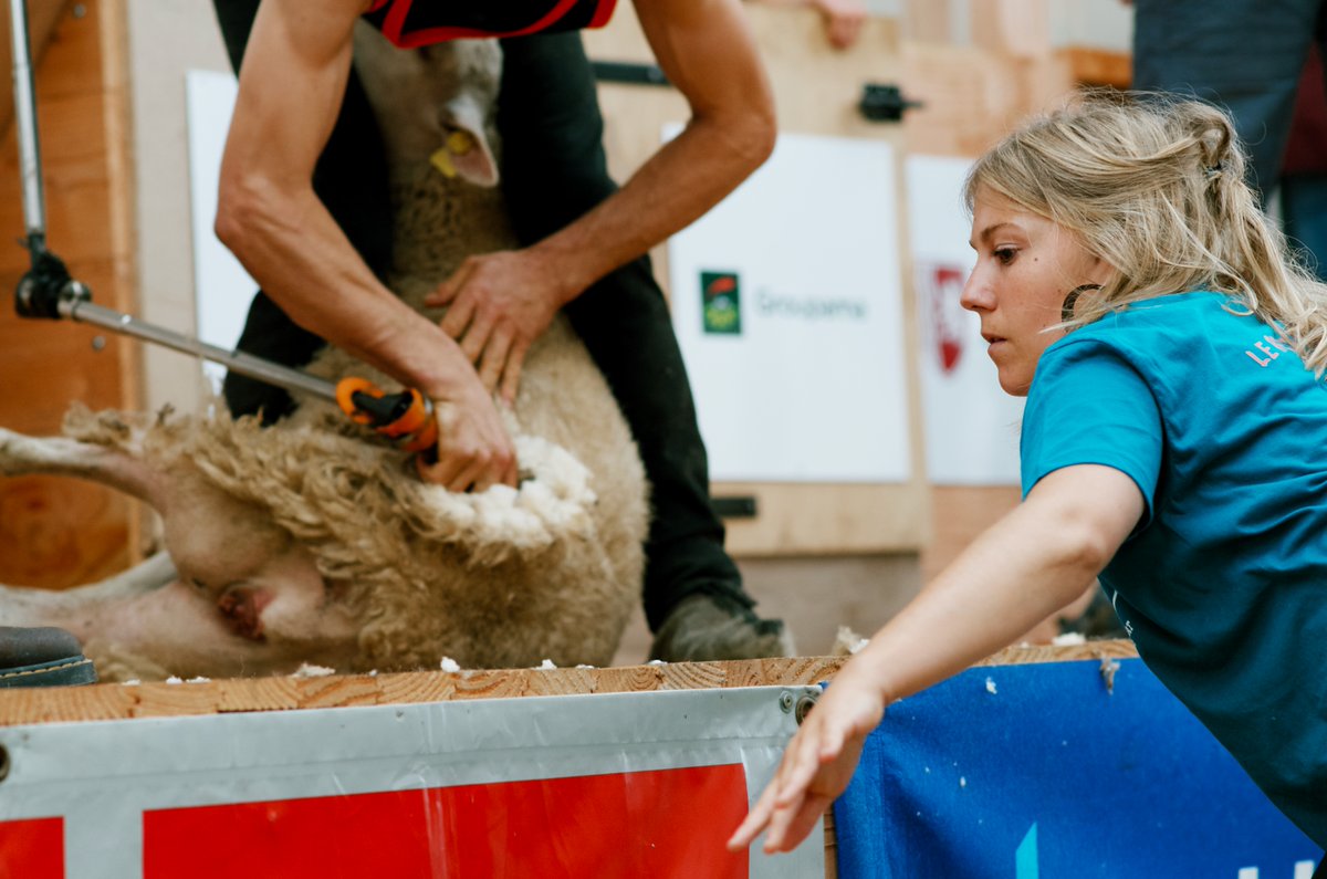 #EnPassant, hier, par le concours de tonte <a href="/AmtmLeDorat/">AMTM - Le Dorat 2019</a>... 
#photo #photooftheday