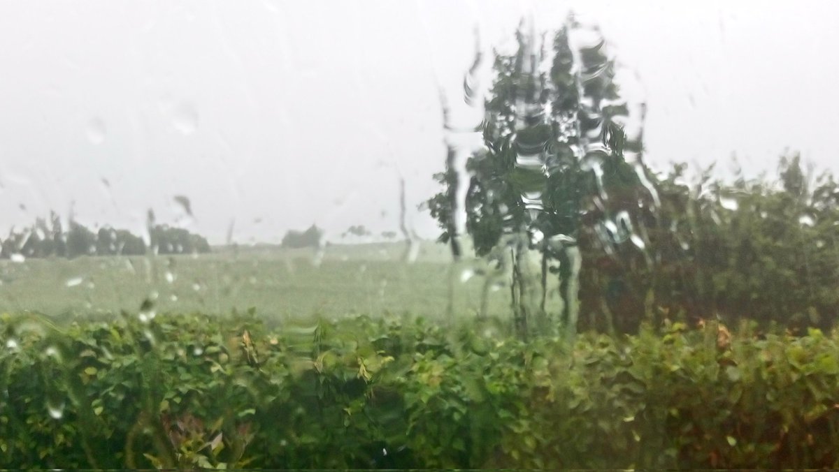 monnolena's tweet photo. #sommarpåminplanet REGN, det har vi inte just nu så jag visar en gammal bild. https://t.co/5kobRhSW2G