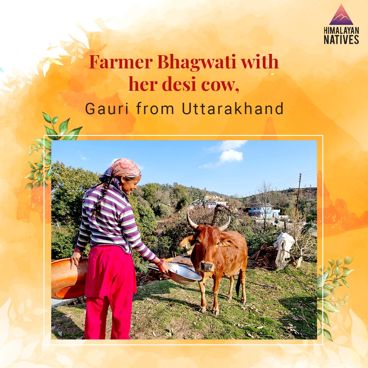 HN_Ind's tweet photo. We know the importance of family that's why we partner with farmers and empower their lives. We are doing our part for a sustainable and ethical future.
#himalayannatives #strengthisinnature #homegrownbrand #empoweringfarmers #sustainablefuture https://t.co/Ah3gIgDUjR