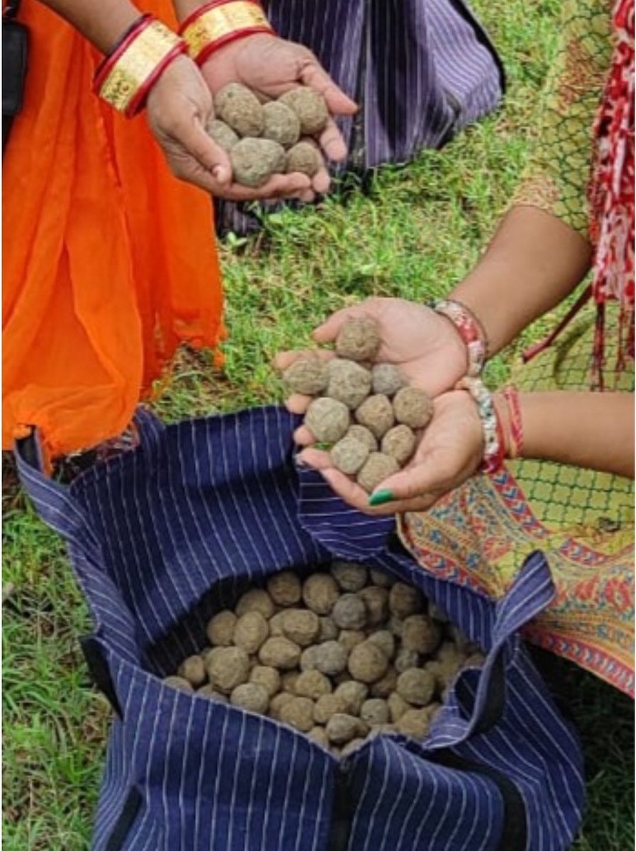 2BnOdisha's tweet photo. Students of Science College, Hinjilicut of 2(O) BN NCC  with Volunteers of Aryabhatta fdn, Berhampur participated in seed ball rolling  for afforestation at Pakidi Hills near Hinjilicut on 24 June 22. This initiative intends to create awareness of seed ball plantation. https://t.co/v4ZJMSBxO9