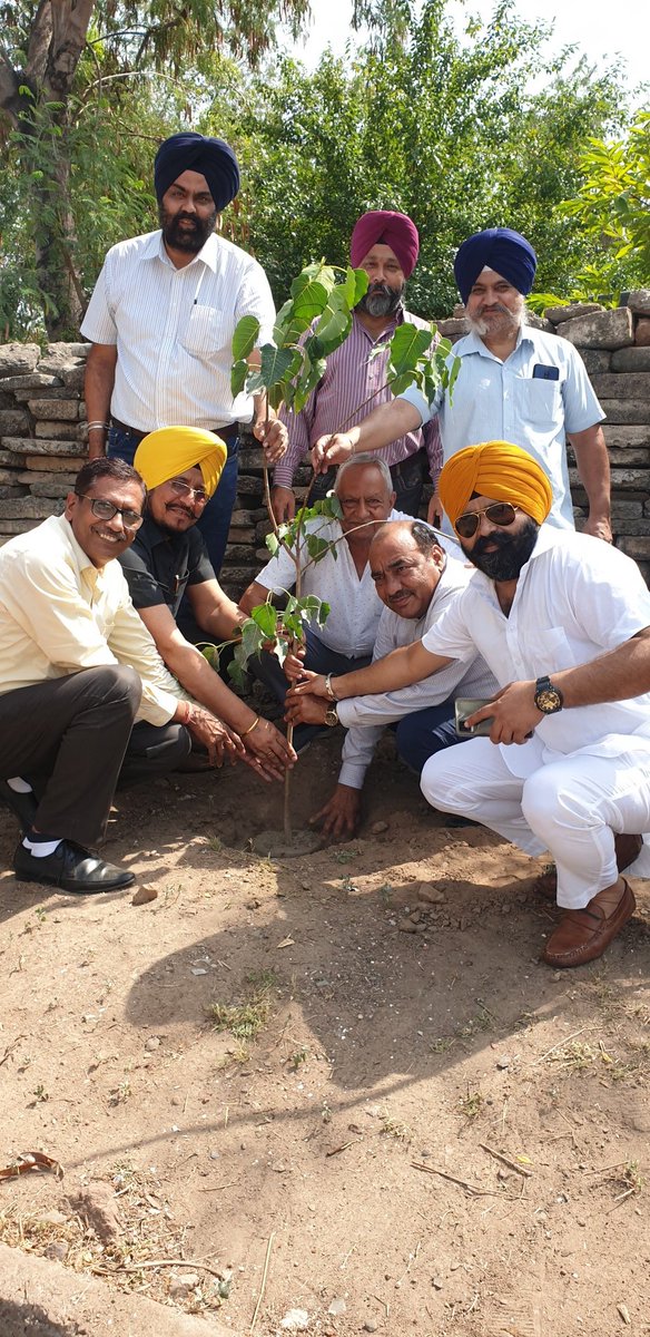 Plantation start from 15 plant and             Continue till completion of above  100 for this season.