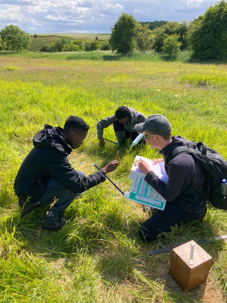 Biology_NHS's tweet photo. Year 12 investigating the different abiotic factors in order to deduce the seral stage of succession in the most beautiful wild flower quarry setting! 🌸🌺🌼 @CranedaleCentre https://t.co/ISUwzXg3JA