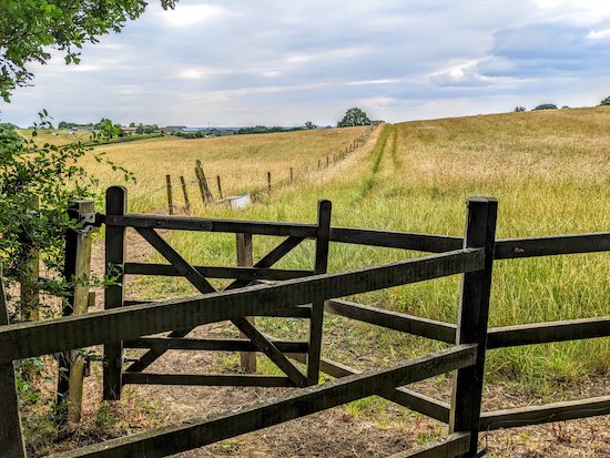 HertsWalker's tweet photo. NEW: Walk 188: Bramfield West Loop 6.1 miles (9.8 km) with 164 ft of ascent. Route passes close to three pubs. Directions, maps, photographs, and GPS navigation files all free to download. You don't need a paid-for subscription app to enjoy this walk. 

https://t.co/utuIu4tsE8 https://t.co/xoEHZIkGu5
