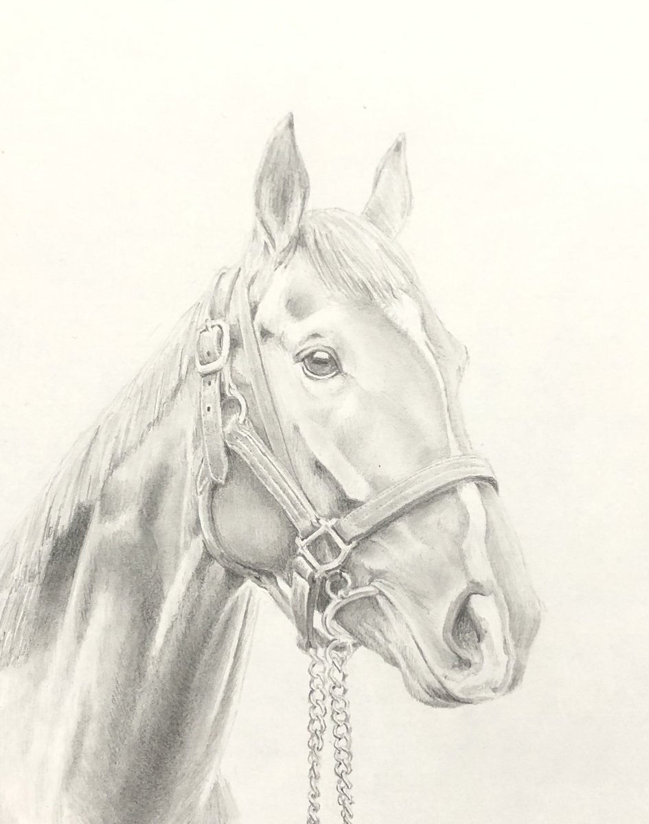 hiro@馬の絵 (@artstable_hiro) / X