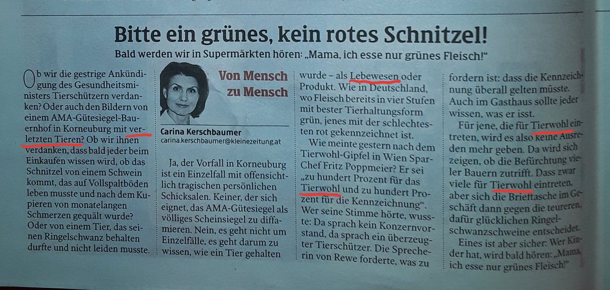 Joe_Kicrows's tweet photo. Vorweg!
Das Aufzeigen/Kritisieren dieser #Tierquälerei von Fr. #Kerschbaumer in @HubertPatterer's  @kleinezeitung, ist gut und richtig!

Aber Tiere bei lebendigen Leib die Gurgel aufschneiden (SCHÄCHTEN) wurde in diesem Blattl noch NIE angeprangert. 
@SBohrnMena 

#Pharisäer!!! https://t.co/1KkLGZ2nD0