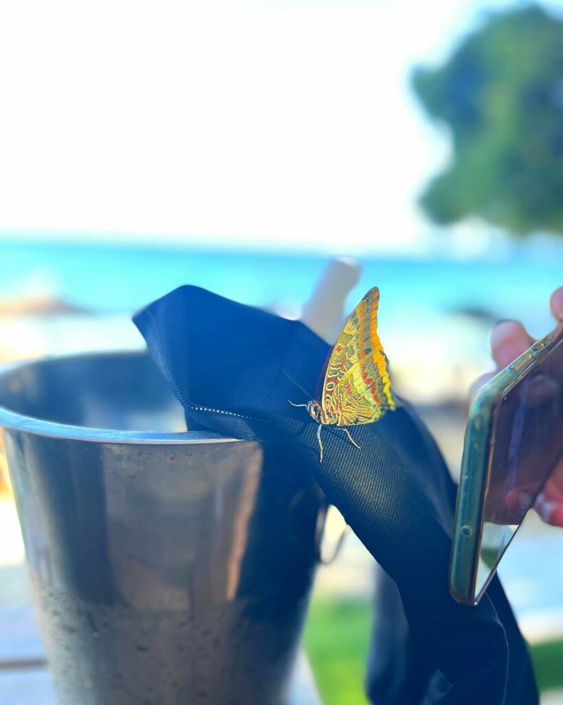 - GLOW -

In a world that feels archaic with a darkness looming, make sure you GLOW ✨

I’m not talking about beauty or style or fashion. I’m talking about your heart and soul.

Show up as your best most authentic true self and be the LIGHT 🙏🏼
.
.
.
#… instagr.am/p/CfQnLGogoyB/