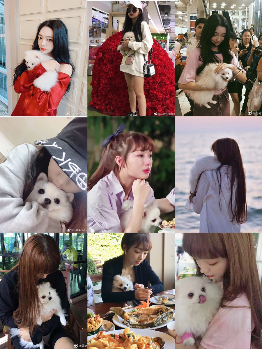 thaigirl1479's tweet photo. สิ่งที่น้องต้องการคือคำตอบและส���เหตุ ที่น้องออกมาโพสต์เพราะพยายามติดต่อสายการบินแต่ติดต่อไม่ได้เลย ผ่านมา1วันสายการบินไทยออกมาโพสต์ว่ากำลังตรวจสอบ คือแบบ🤦🏻‍♀️โกรธแทนมาก 
ควรมีคำตอบที่ดีกว่านี้มั้ยควรติดต่อเจ้าของ🐶มั้ย เงียบกริบขนาดนี้ น้องปวดใจขนาดไหนอ่ะ #ขอความยุติธรรมให้กับมีมี่ https://t.co/G8TMi4nKv0