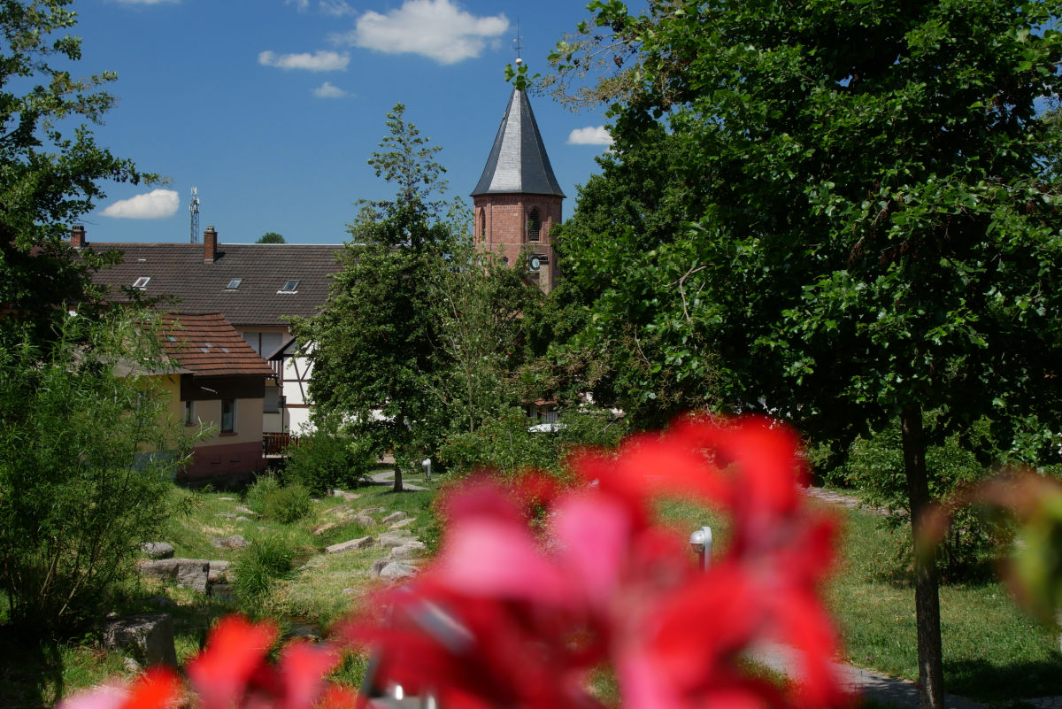 Die Loffenauer Fresken: Einzigartig im Schwarzwald >>> escape-from-reality.de/loffenauer-fre…
#loffenau #schwarzwald #nordschwarzwald