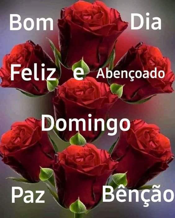 José Fernando Sobrinho (@josfernandosob4) on Twitter photo 