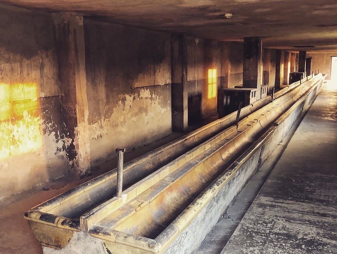 AuschwitzMuseum's tweet photo. Auschwitz II-Birkenau. A washroom barracks for prisoners located at the BI sector of the camp.

🔊 Listen to a podcast about living &amp; sanitary conditions at #Auschwitz: https://t.co/vuxHvvr6EJ

(📷 https://t.co/npyzh0jR0s) https://t.co/EkT4edM8fn