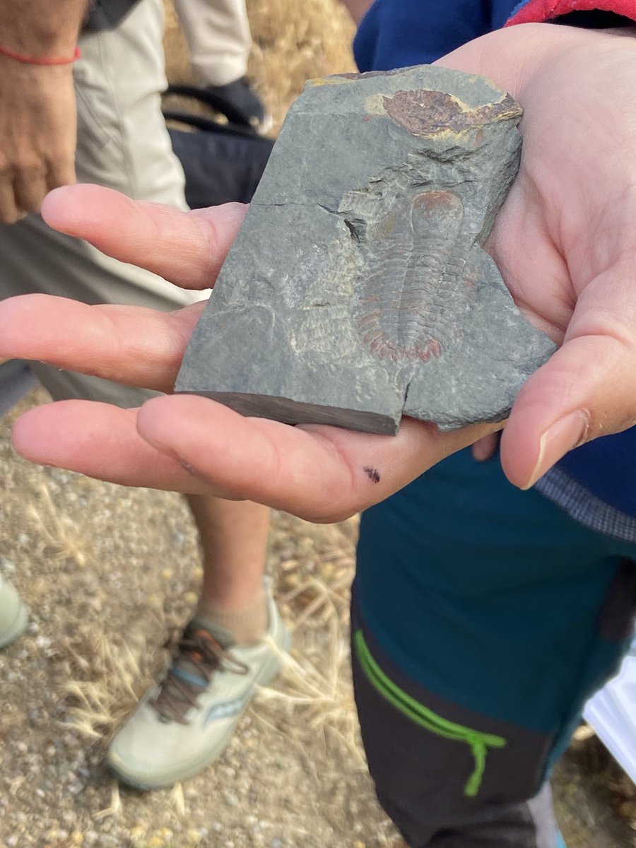 Finding fossils in Spain on the post conference field trip