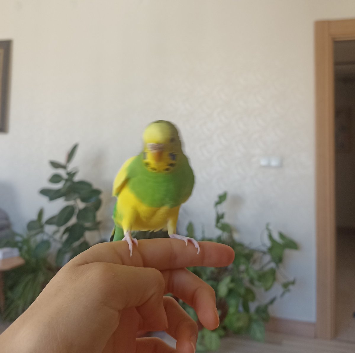 renklidot's tweet photo. Selam dustlarım bni üslediniz mi https://t.co/ZkHRV4CBAm