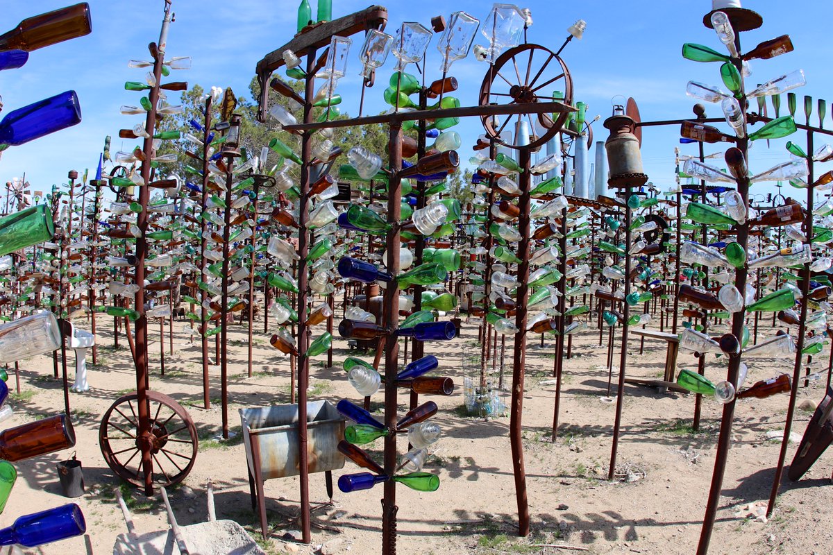 Samthedog_tw's tweet image. Feelin' thirsty? 🍾We're visiting Elmer’s Bottle Tree Ranch in Oro Grande, California 👨‍🌾 Elmer Long began collecting bottles with his father when he was just six years old 👦Eventually, he decided to build a nice display for them! 🎪 Now treat yourself &amp;gt;&amp;gt; grandharvest.onelink.me/CT7t/h3xwq1df