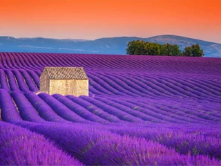 Chi di voi guardando queste immagini non ha sognato almeno una volta di camminare in questi meravigliosi campi di lavanda in fiore della Provenza.

#provenza #lavanda #marsiglia

thedigitalmoonagency.com/post/la-fiorit…