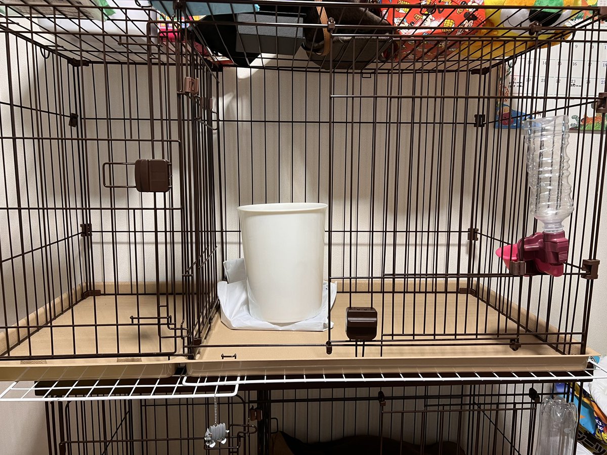 gen3152's tweet photo. このドッグゲージ欲しい人いたらあげます。
水飲み付
出来れば取りに来て欲しいです
 #犬 #ペット https://t.co/d8qkJrWAHz