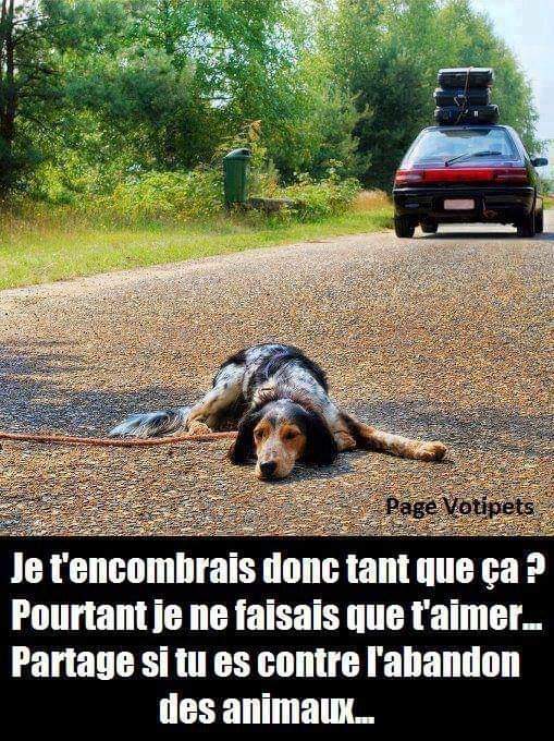 sofboubou1's tweet photo. Les vacances approchent. 😡 https://t.co/plwvr7q51Q