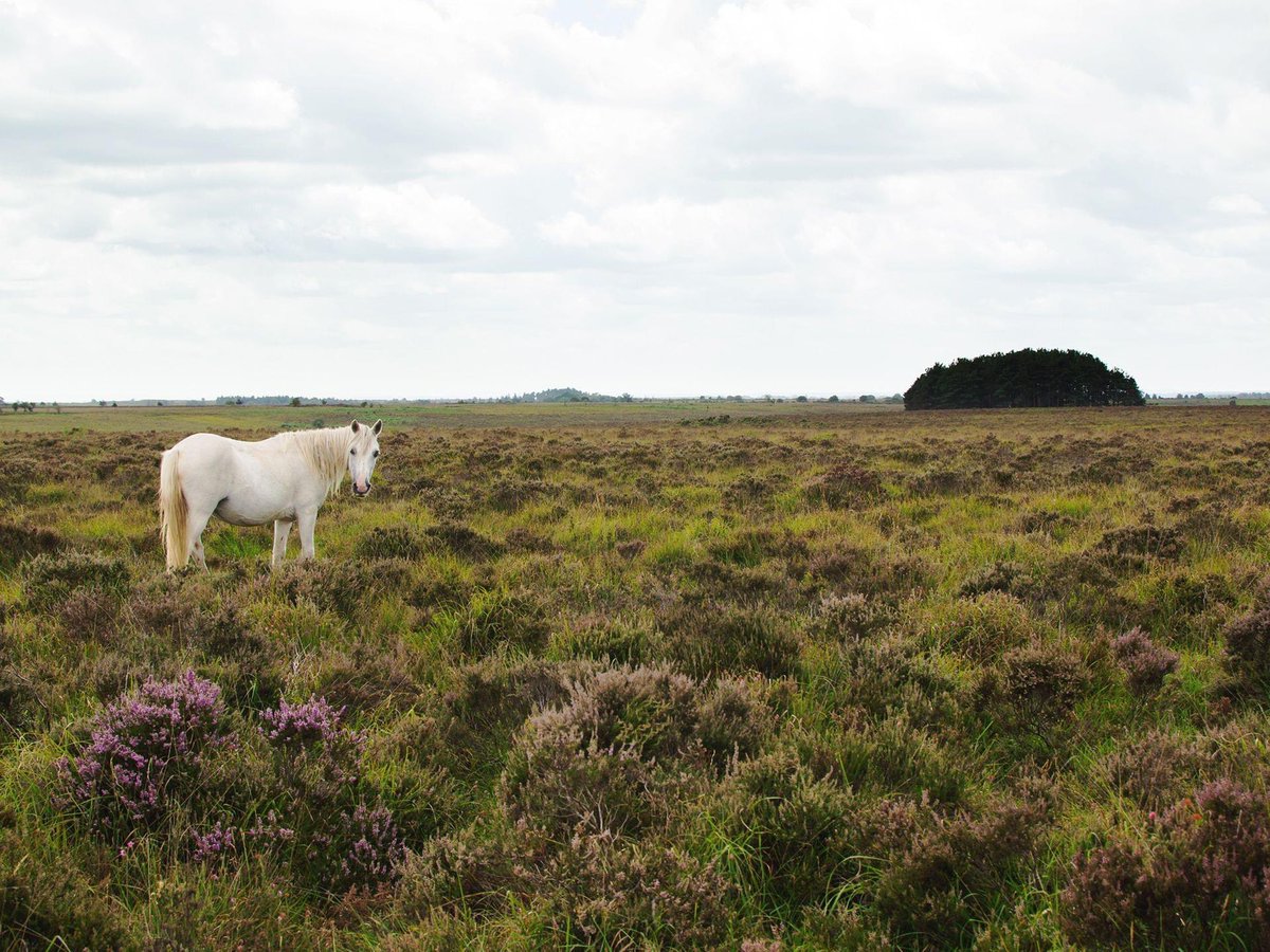 Bridge_Arts_'s tweet photo. Here's another of our exhibiting photographers, Natalie Banton.

Natalie, an Uckfield based photographer, is inspired by the beauty and therapeutic qualities of nature. Her photographs feature.. https://t.co/YQ14jZNpKZ

To find out more about her visit: https://t.co/OOppoTWvwb https://t.co/lihION3sxE