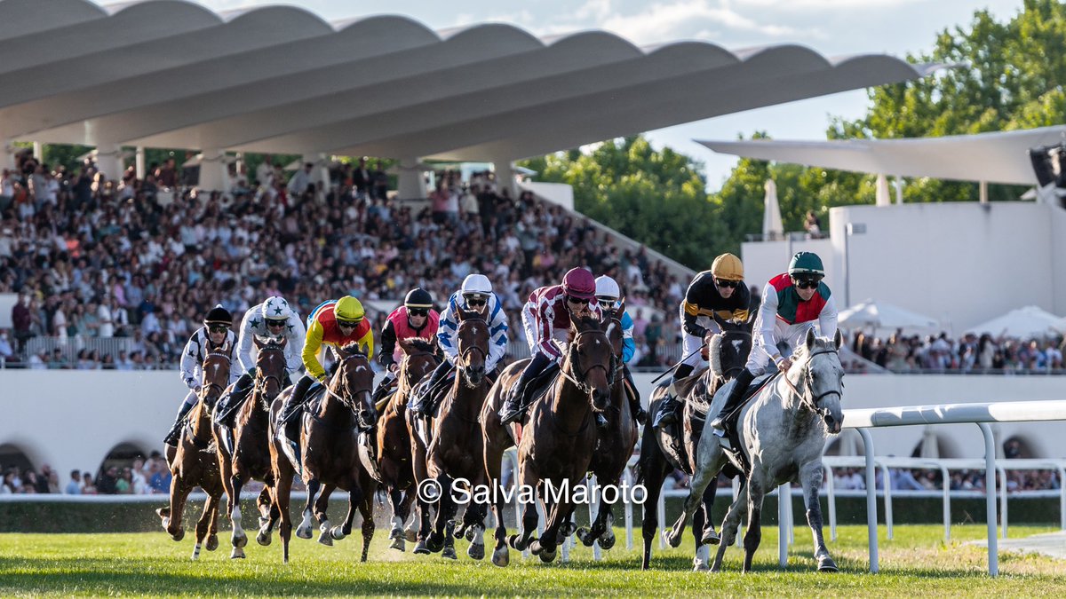 SalvaMaroto3's tweet photo. GRAN PREMIO DE MADRID (Edición LXXXVI) 🏇🏻🇪🇸 
➡️ Media Storm - Night of Thunder y Raskutani (Dansili)
➡️ G. Vaz @GasparVaz1 
➡️ V. Seguy 

El 🏇🏻 de Gaspar Vaz se llevó la carrera mejor dotada de nuestro País. La única con categoría de Listed. Enhorabuena a todas las conexiones. https://t.co/Rkq4LmmA8T