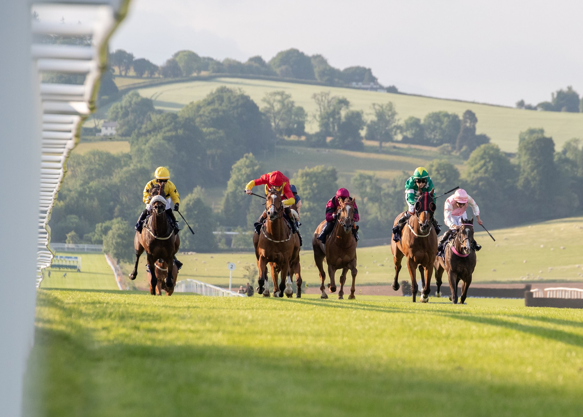 Chepstow Racecourse on Twitter "Going update for Tuesday's Free Race
