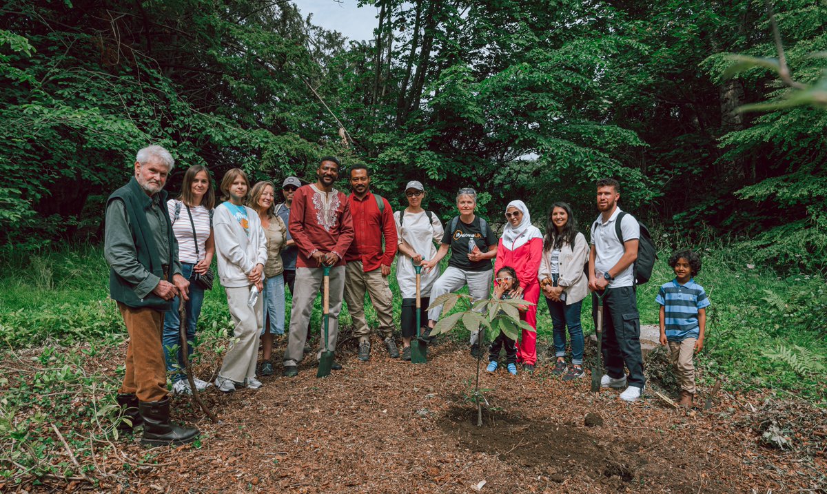 hennaasikainen's tweet image. 'They Who Plant a Tree, Plant Hope' @RefugeeWeek 
What a wonderful day we had at United Nations of Trees Arboretum! @HowickHallGarde 
Healing, hope, community and the power of nature
Photo:@SayaNaruse