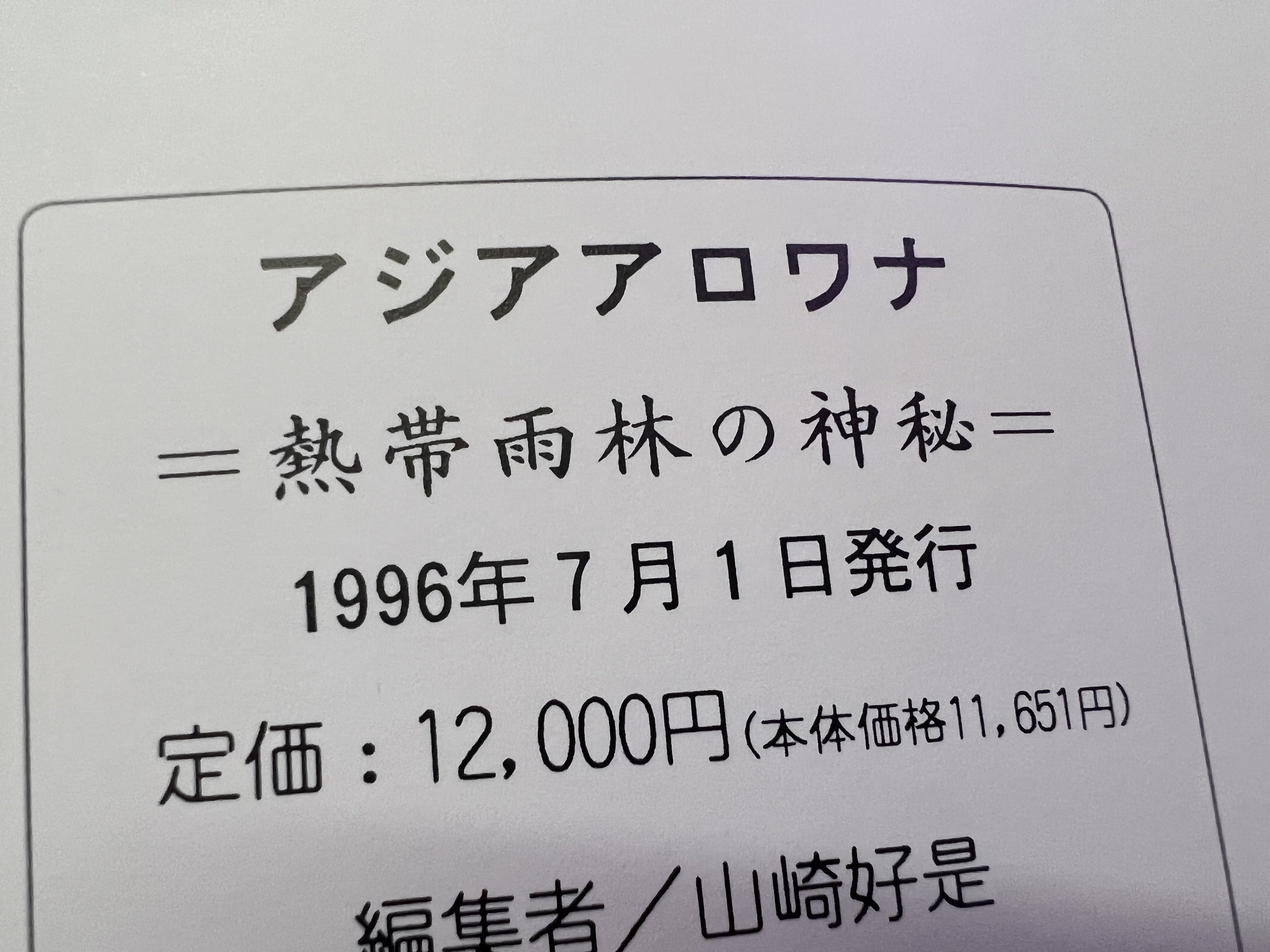 アジアアロワナ熱帯雨林の神秘特価販売【アジアアロワナ専門店