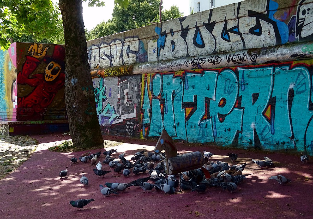 curiouscat1blog's tweet photo. #StreetArt #Arturbain #Nantes
"Il y a des #pigeons qui préfèrent les trous poudreux des vieilles murailles aux boulins les plus propres de nos colombiers" (Georges Louis Leclerc, #ComtedeBuffon)
©CuriousCat https://t.co/juXW56l6Zq