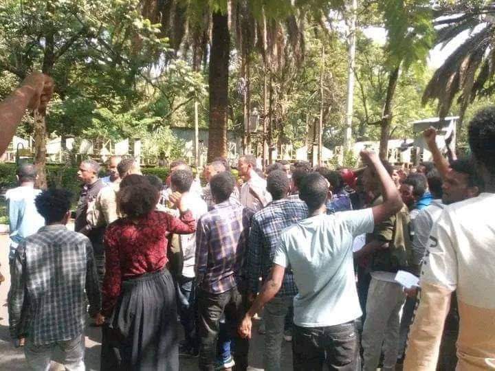 mebtu_'s tweet image. የባህርዳር ዩንቨርሲቲ ተማሪዎች በወለጋ በግፍ ስለተጨፈጨፉት ወገኖቻችን ድምፃቸውን ለማሰማት ሰላማዊ ሰልፍ አደረጉ !