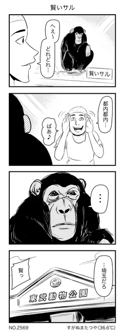 賢いサル 