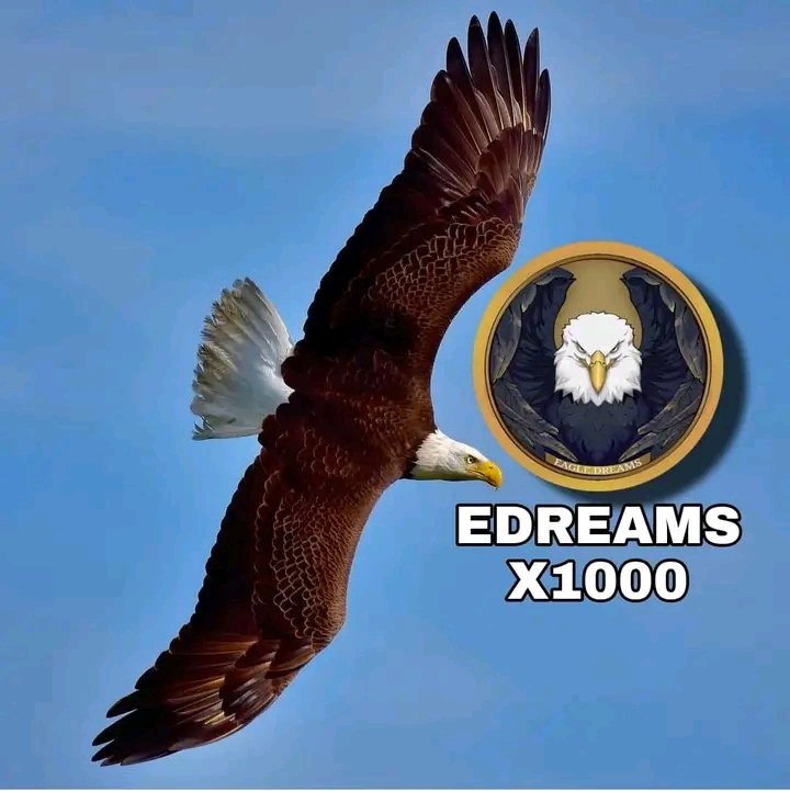 RichCrypttoGEM's tweet photo. @crypto_bitlord7 💎EAGLE DREAMS💎
@EAGLE_DREAMS23
 13kmc 
🦅Stealth Launch
🦅Renounced ownership 
🦅Safe Dev and team
🦅Strong community 
🦅Lp locked for one year

#EDREAMS #BTC
#BNB #binance #Eagles
#cryptocurrecy #Trending 

TG:  https://t.co/pF0PoN9hN8
WEBSITE : https://t.co/Sl3AAbksUJ https://t.co/2Iv0fzxe6N