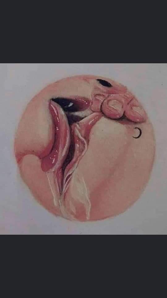 Lâu lắm rồi đấy:((