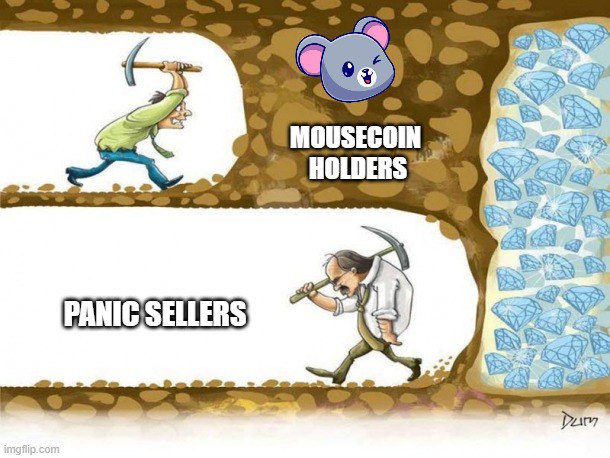 Mouse Coin tweet media