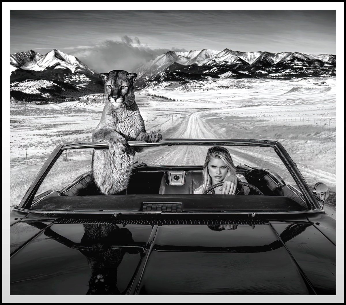 cameralab21's tweet image. David Yarrow