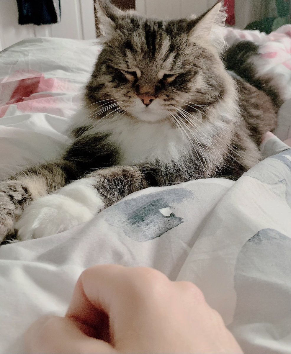Sending mum lots of love and good vibes for a speedy recovery from the operation 😘#CatsOfTwitter #GoodVibes #positiveenergy #Hugs #healthcare #pets #therapy #HealingPurrsPawty