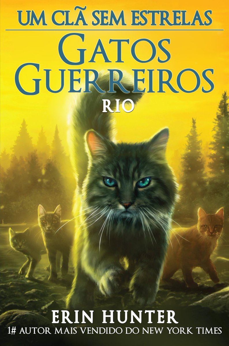 História Gatos Guerreiros - Meia Noite - História escrita por Leafdapple -  Spirit Fanfics e Histórias